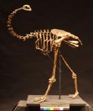 Click for more details.